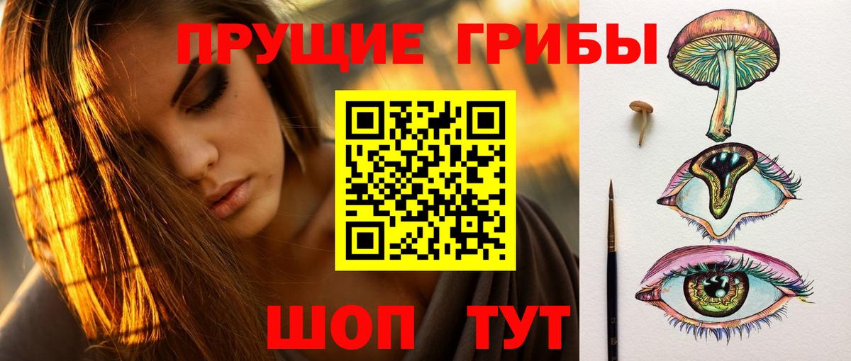 Псилоцибиновые грибы MAGIC MUSHROOMS  Вход с VPN  Туймазы 